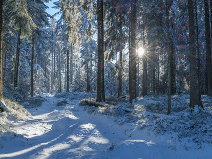 Wellnessurlaub - Seminarraum - Schallstadt - Winterlandschaft - Bio- und Wellnesshotel Alpenblick