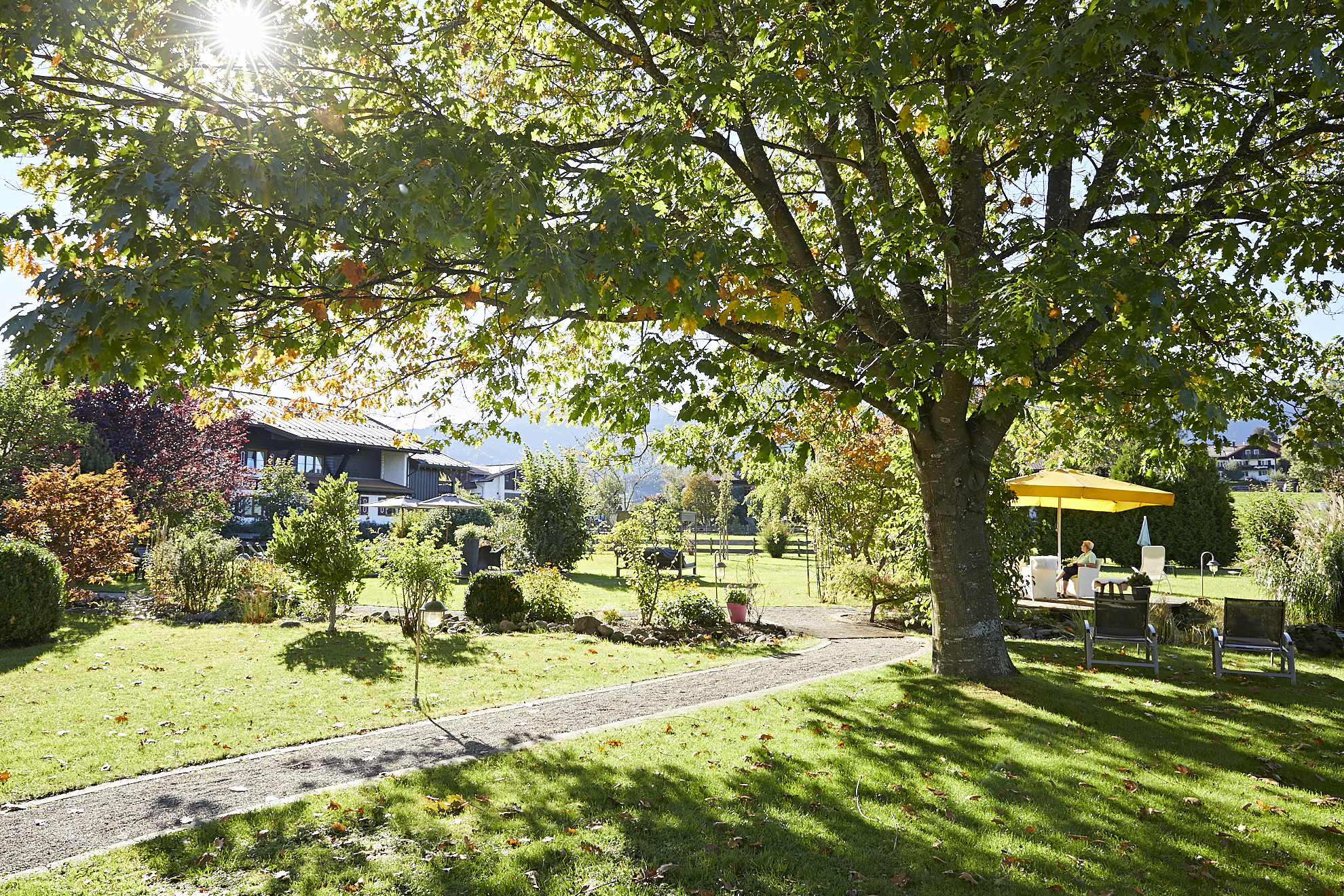 Wellnesshotel: Hotel Rosenstock