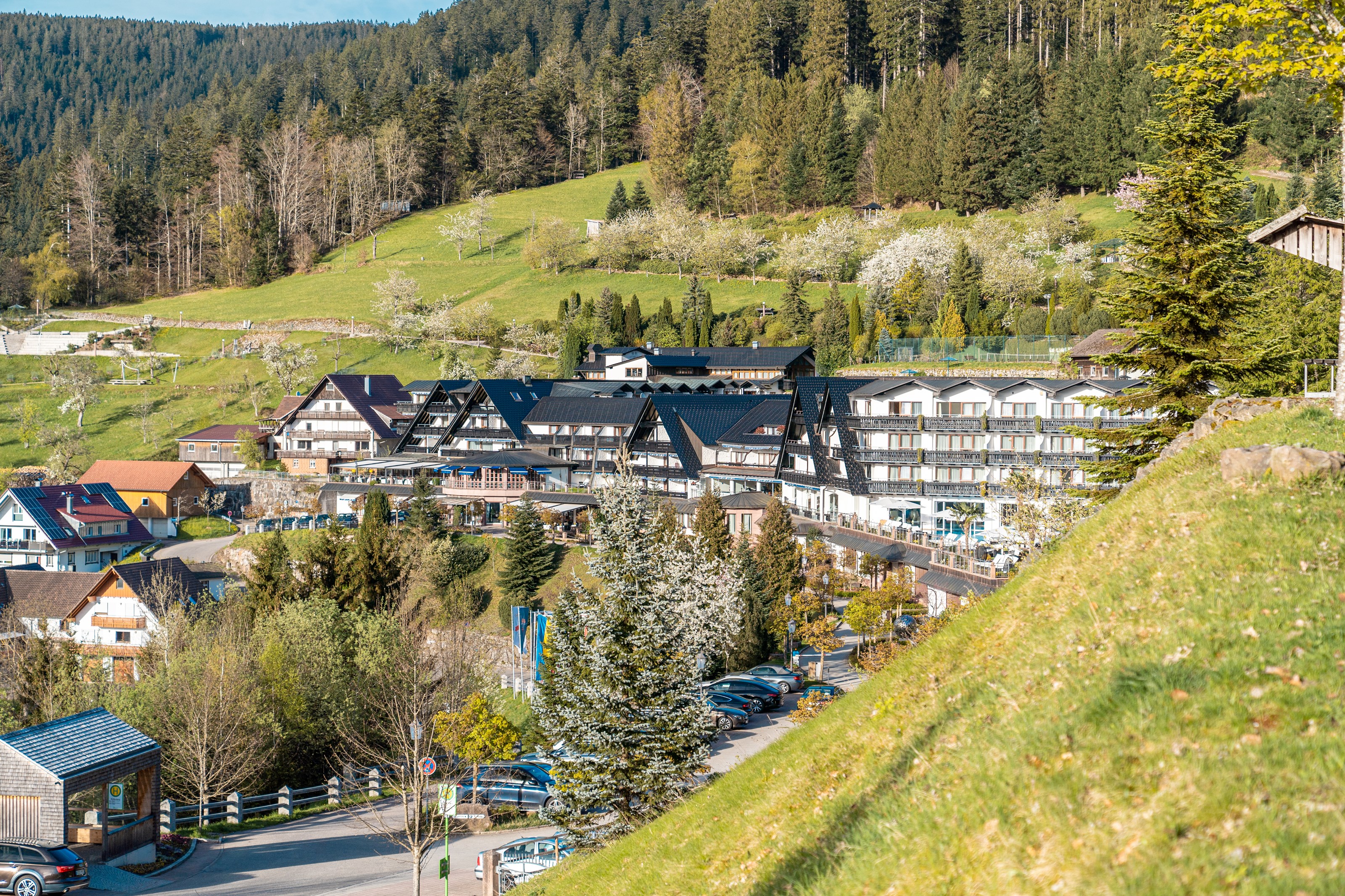 Wellnessurlaub - Baden-Württemberg - Außenbereich - Haus Dollenberg