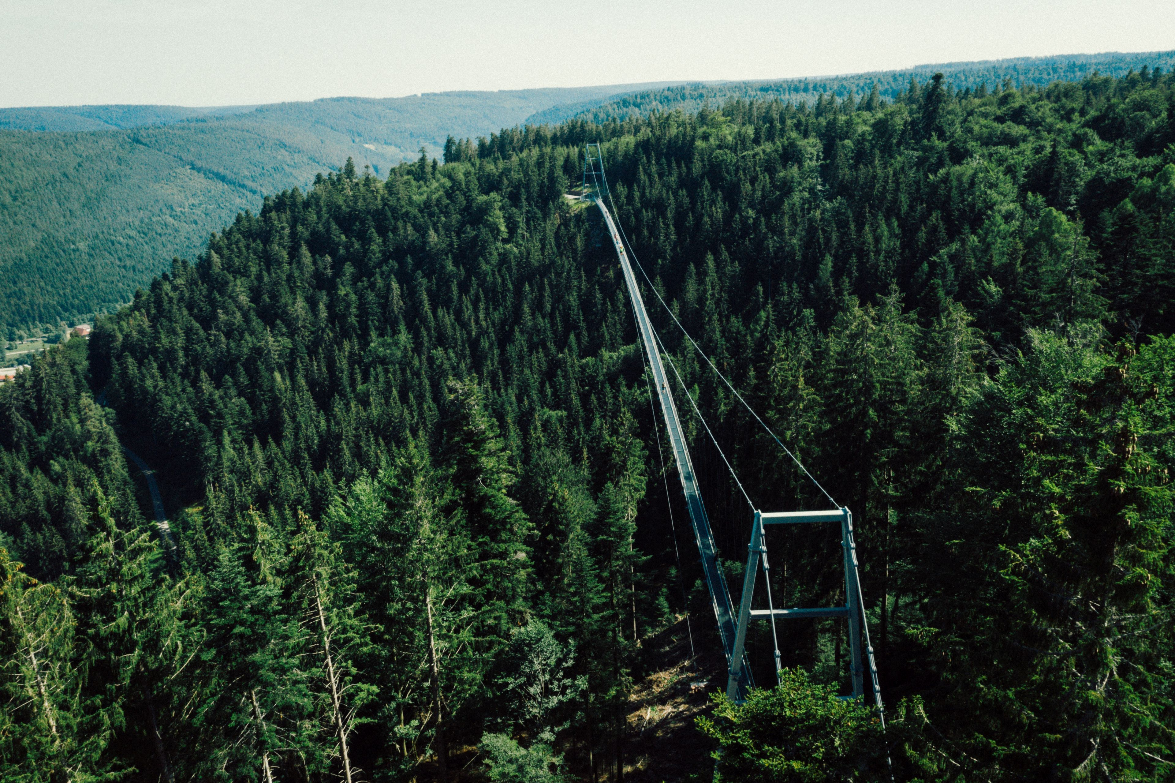 Hotel Therme Bad Teinach Ausflugsziele Wildline Bad Wildbad