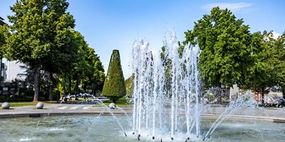 Wellnessurlaub - Schwanenstadt - Springbrunnen - Hotel Schweizer Hof Betriebs-GmbH
