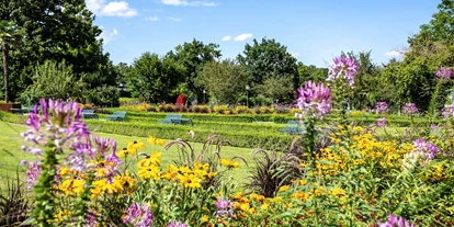 Wellnessurlaub - Schwanenstadt - Kurpark - Hotel Schweizer Hof Betriebs-GmbH