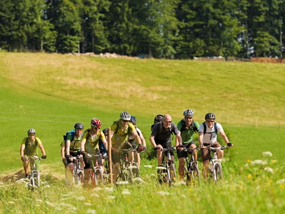Wellnessurlaub - Hot Stone - Weisweil - Mountain Biken - Naturparkhotel Adler