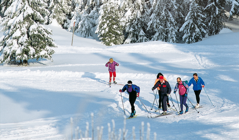 Wellnesshotel: Wintersport, Langlaufen - Naturparkhotel Adler - Hotel | Umgebung