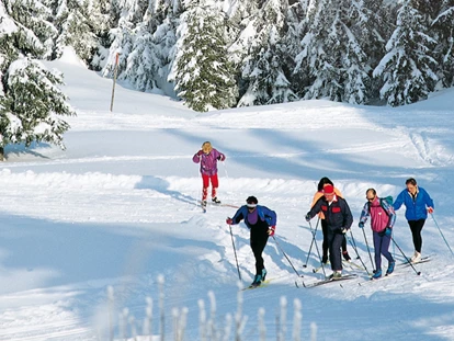 Wellnessurlaub - Hot Stone - Weisweil - Wintersport, Langlaufen - Naturparkhotel Adler