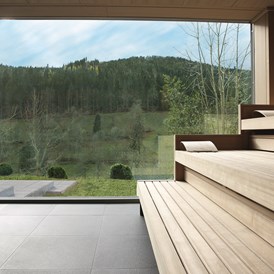 Wellnesshotel: Panorama Sauna Haus Kohlwald - Traube Tonbach