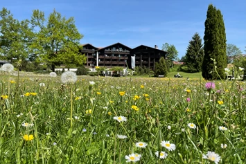 Wellnesshotel: Frühling in Oberstaufen  - Lindner Hotel Oberstaufen Parkhotel