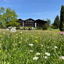 Wellnesshotel: Frühling in Oberstaufen  - Lindner Hotel Oberstaufen Parkhotel