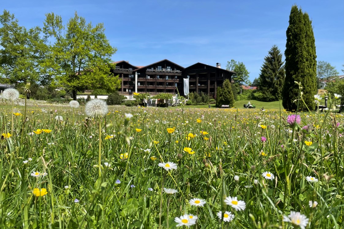 Wellnesshotel: Frühling in Oberstaufen  - Lindner Parkhotel & Spa Oberstaufen