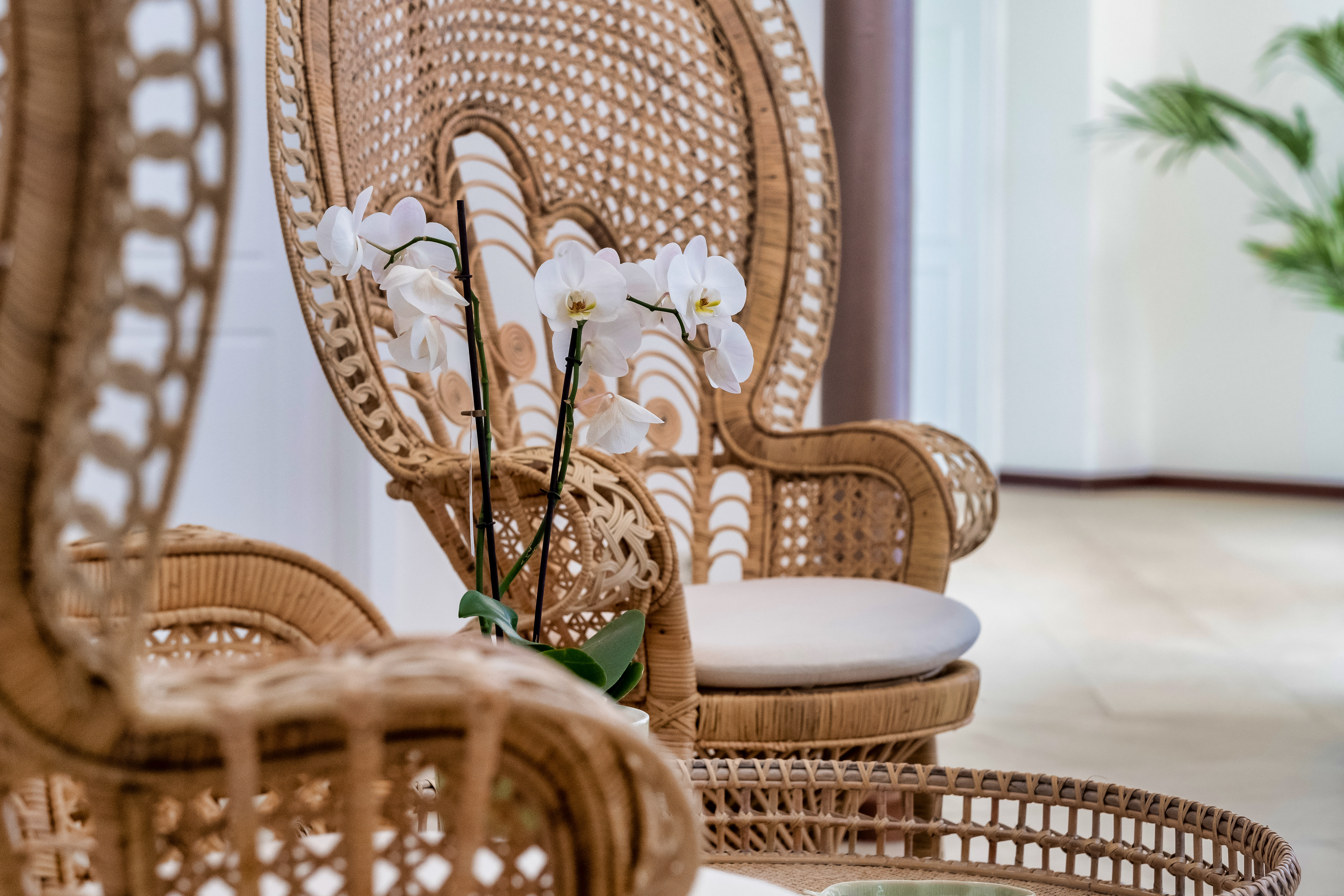 Wellnesshotel: Sunday Resort Schwielowsee - Sauna | Spa