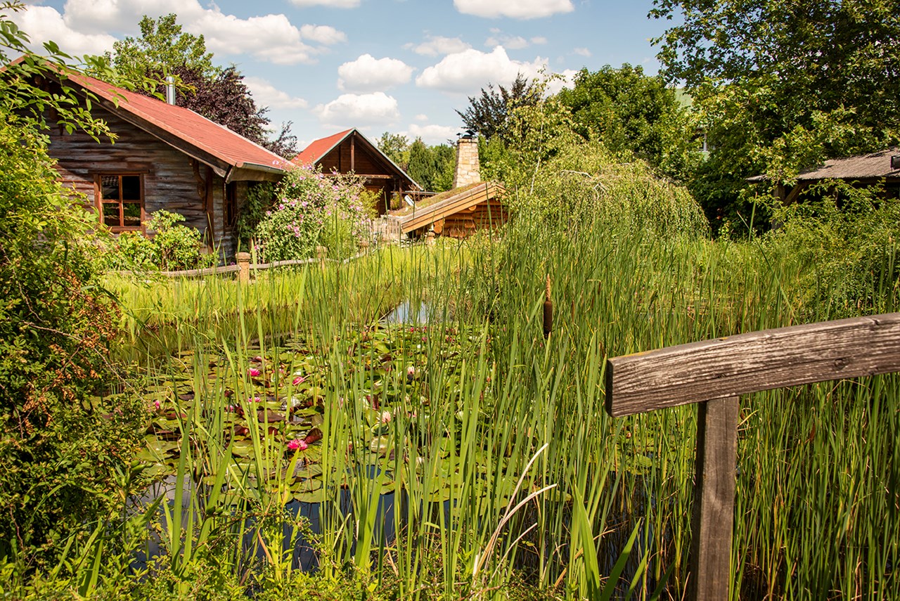 Wellnesshotel Seeschlösschen Saunen und Bäder im Detail Feuchtbiotop und Pavillion