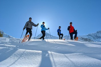 Wellnesshotel: Aktiv im Winter: Schneeschuhwandern - CESTA GRAND Aktivhotel & Spa