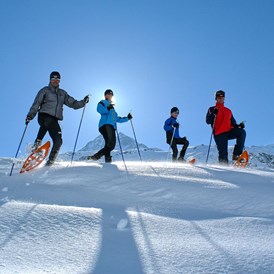 Wellnesshotel: Aktiv im Winter: Schneeschuhwandern - CESTA GRAND Aktivhotel & Spa