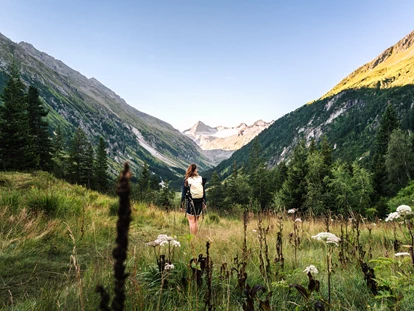 Wellnessurlaub - Maurach - Wanderservice: mind. 5 geführte Wanderungen pro Woche im Sommer und Winter - Hotel Gassner****Superior