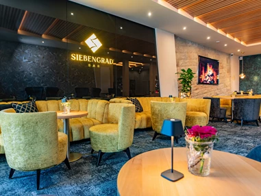 Wellnesshotel: Siebengrad-Bar - Göbel´s Schlosshotel " Prinz von Hessen "
