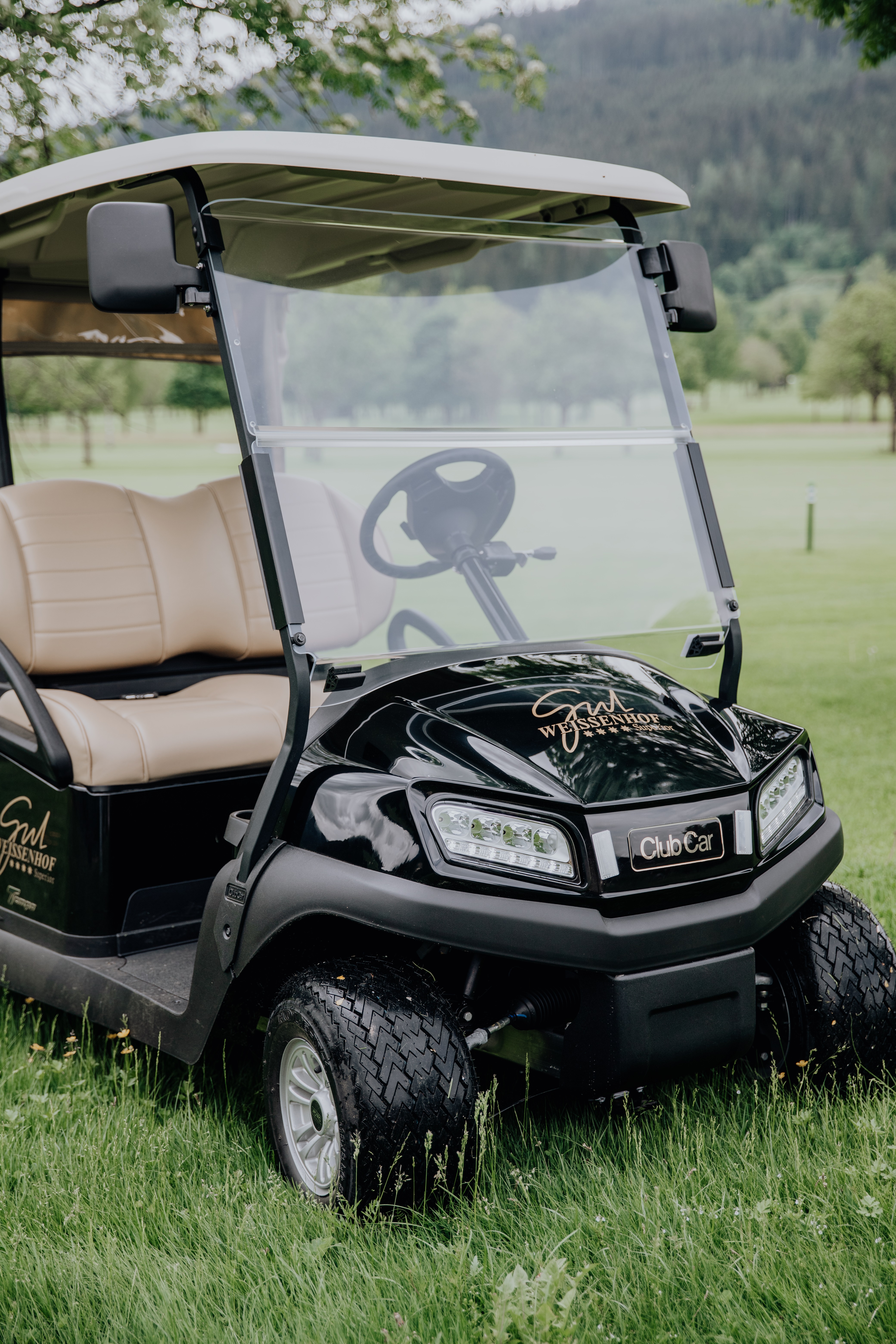 Wellnesshotel: Hotel Gut Weissenhof Radstadt