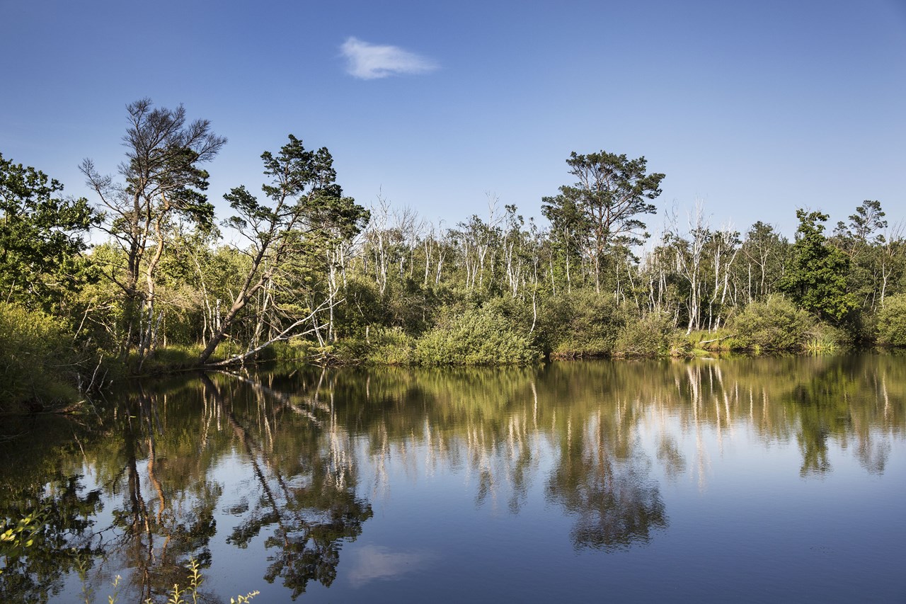 Strandhotel Dünenmeer Ausflugsziele Ribnitzer Moor