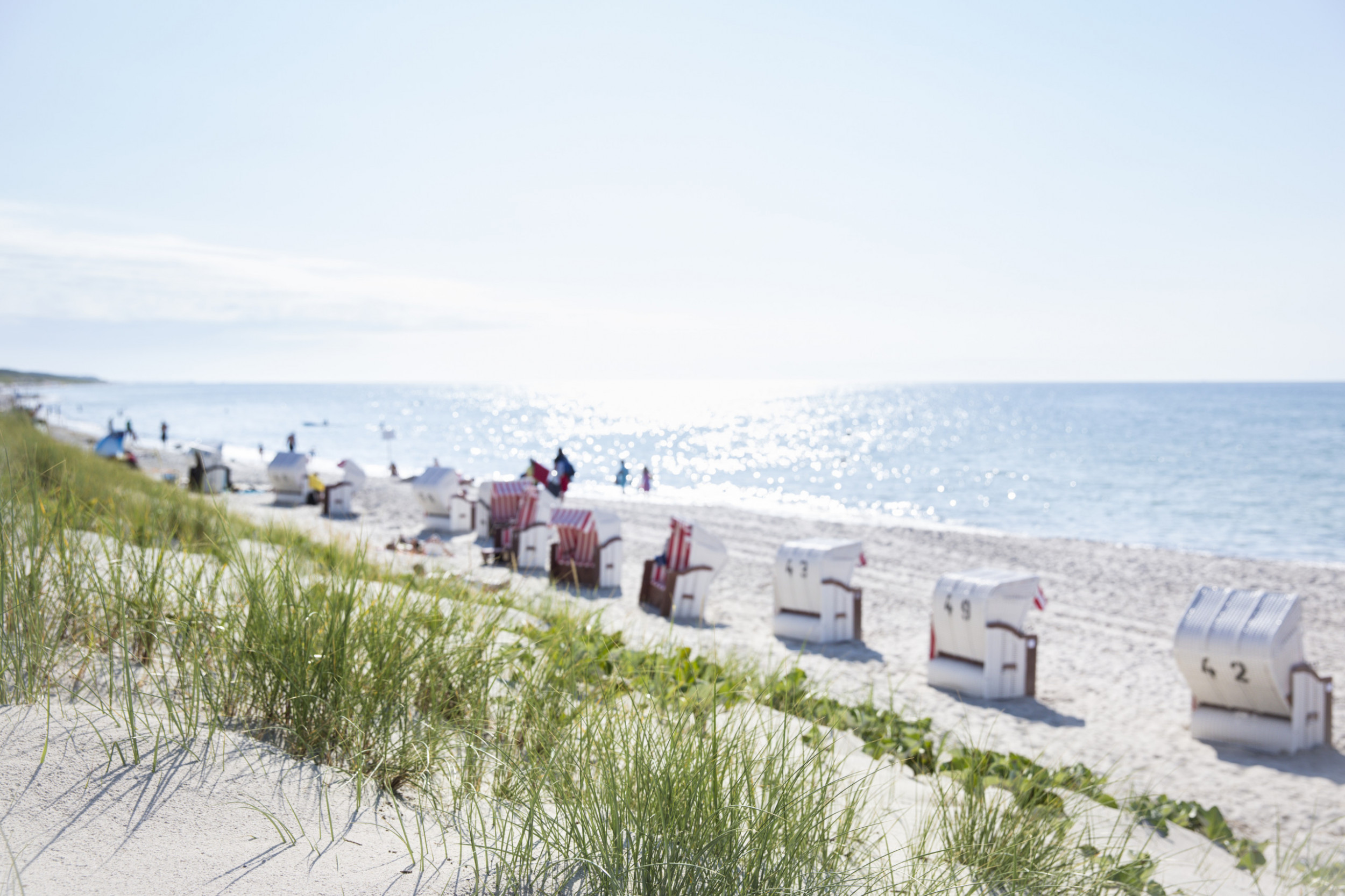 Wellnesshotel: Fischland Strand - Strandhotel Fischland 