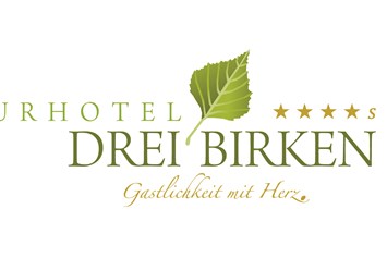 Wellnesshotel: Hotel Drei Birken