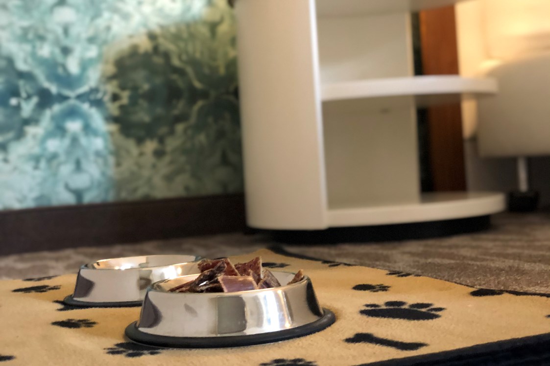 Wellnesshotel: Hunde herzlich willkommen - Hotel Heidegrund