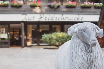 Wellnesshotel: Hoteleingang - Hotel Zur Heidschnucke