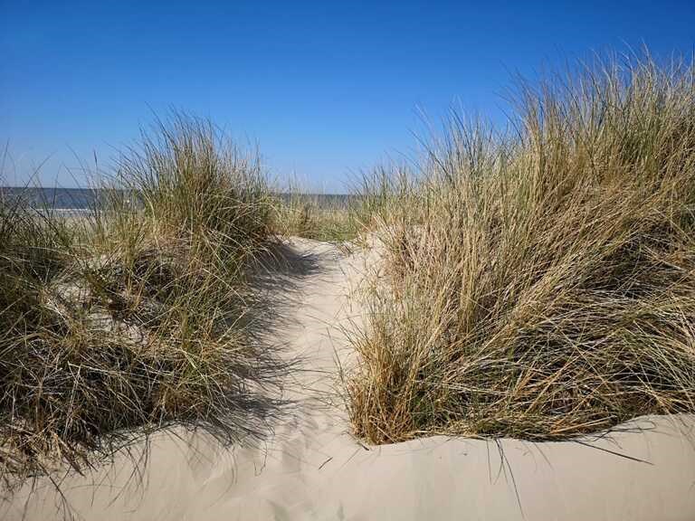 Köhlers Forsthaus Wellness und Genusshotel Ausflugsziele Ostfriesische Inseln