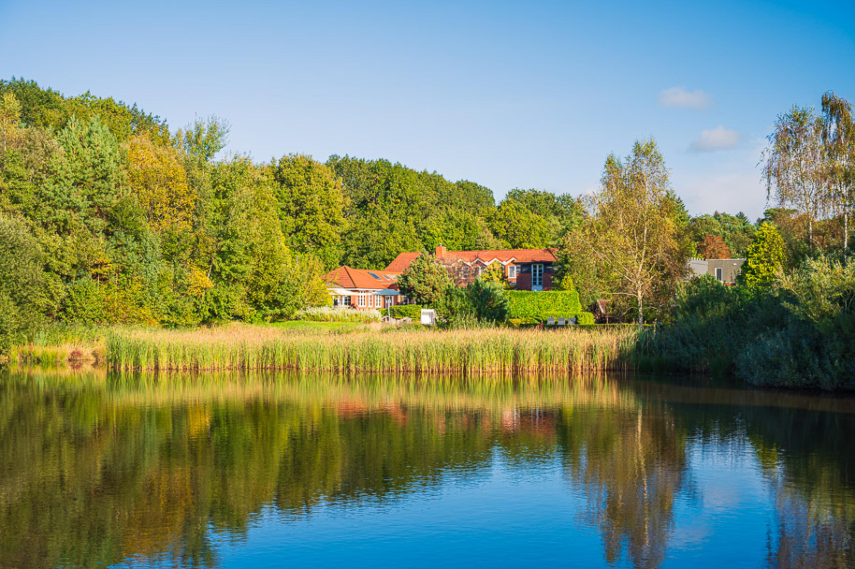Wellnesshotel: Köhlers Forsthaus Wellness und Genusshotel - Hotel | Umgebung