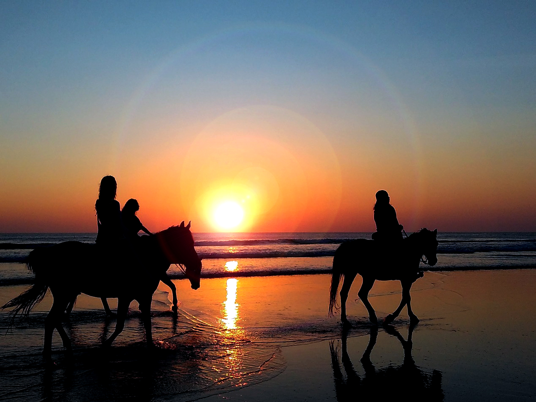 Ostseehotel Midgard in Damp Ausflugsziele Reiterhof Tramm