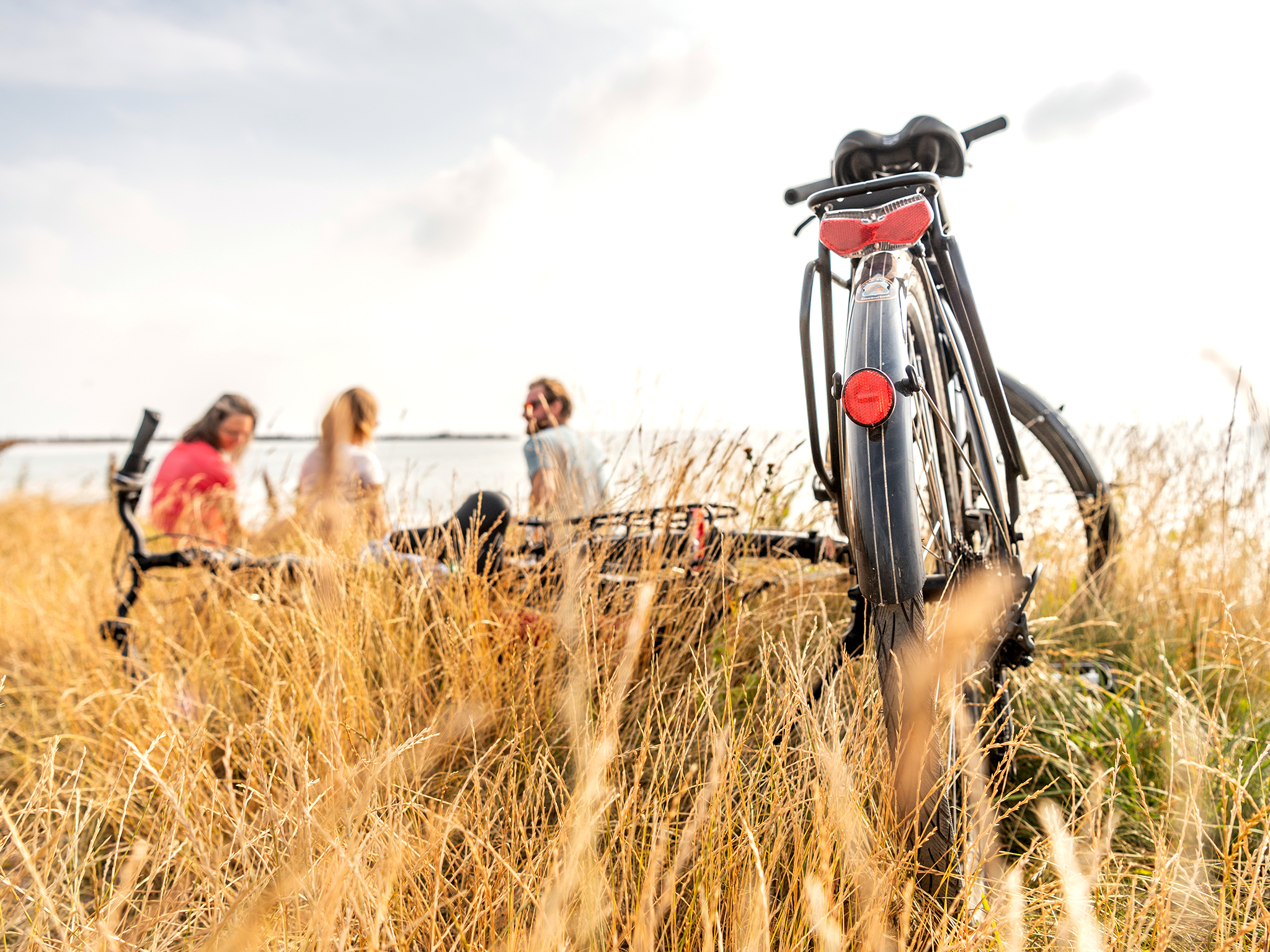 Ostseehotel Midgard in Damp Fitnessangebote im Detail Fahrradtouren im Dampland