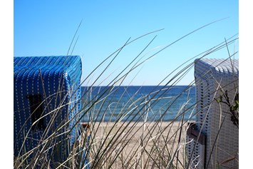 Wellnesshotel: Strandkörbe direkt an der weiten Ostseeküste - Ostseehotel Midgard in Dampland