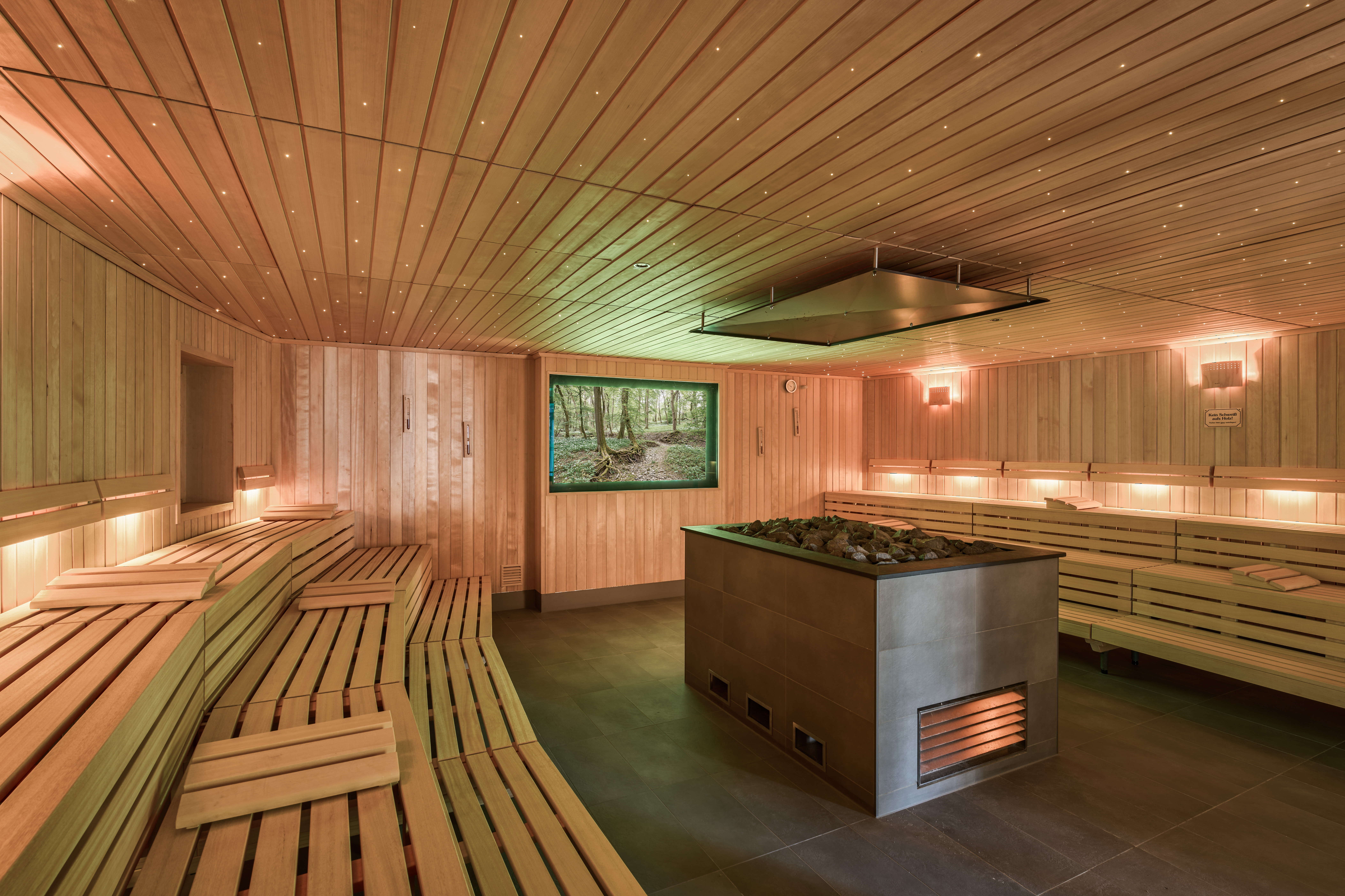 Wellnessurlaub - Thüringen - Entdeckersauna - Hotel am Vitalpark