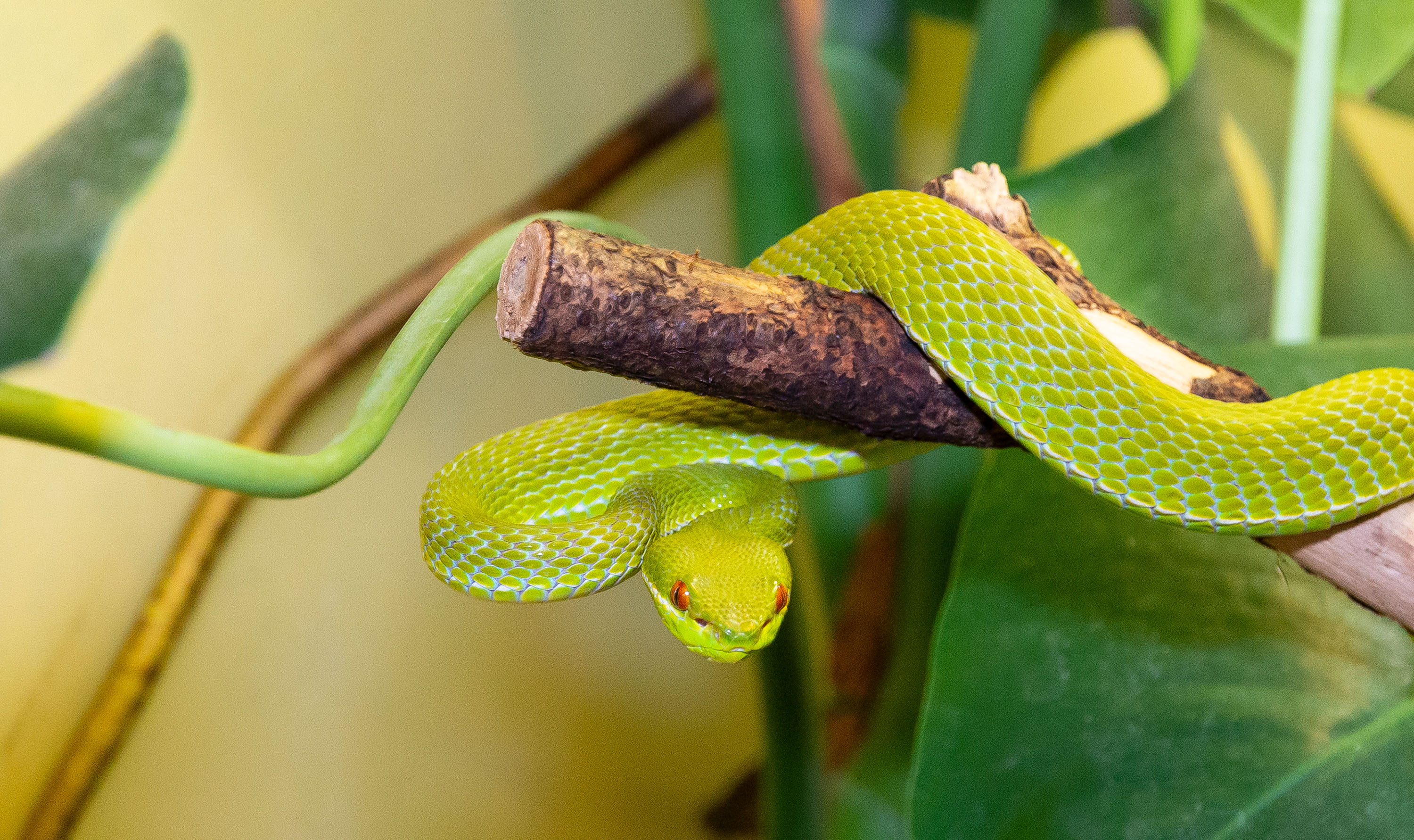 Schlossberghotel Oberhof Ausflugsziele Exotarium Oberhof