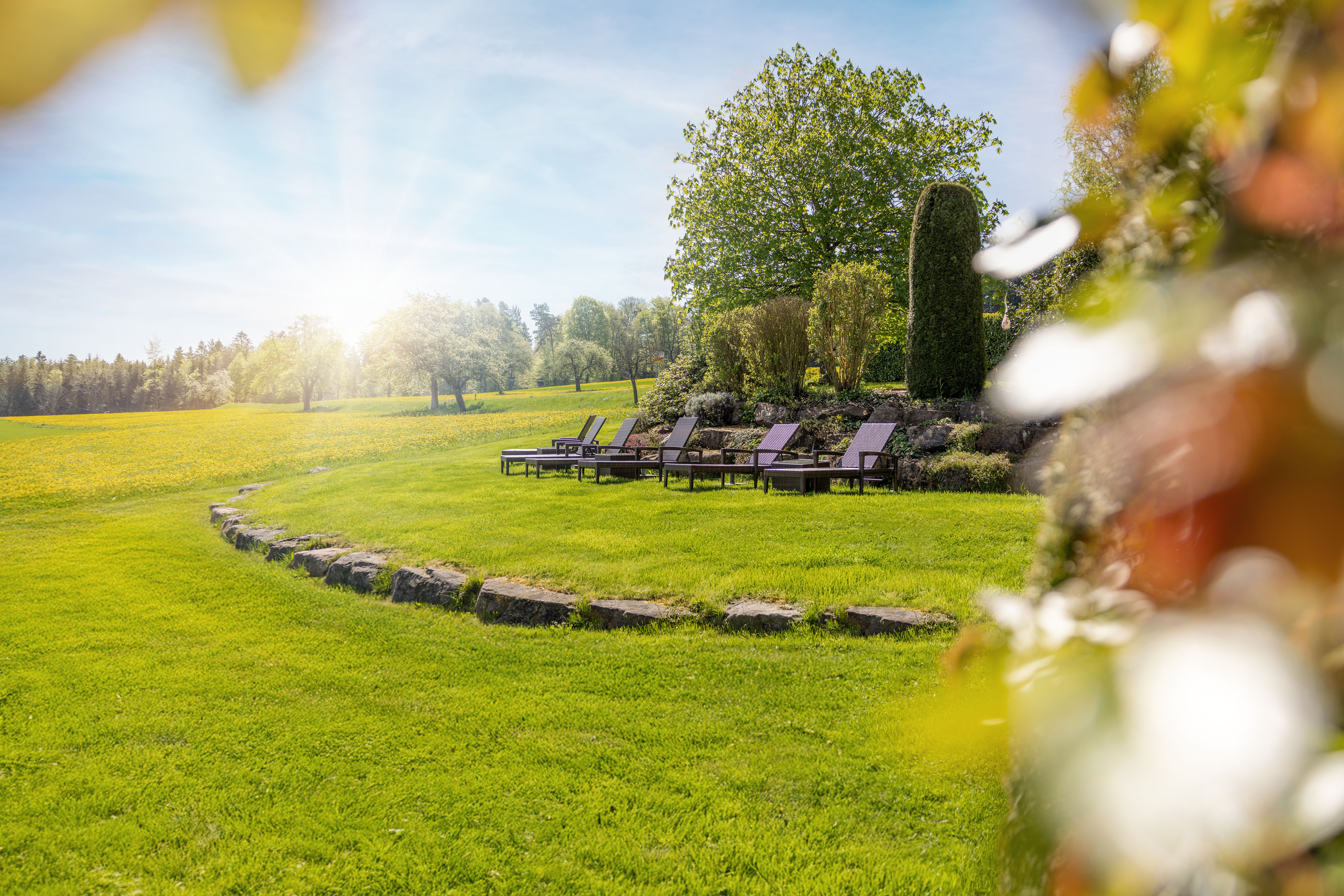 Wellnesshotel: Garten - LIegefläche mit Aussicht ins Tal  - Landhotel Talblick ****