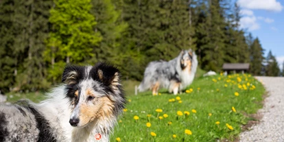 Wellnessurlaub - Biosauna - Isny im Allgäu - Schlossanger Alp