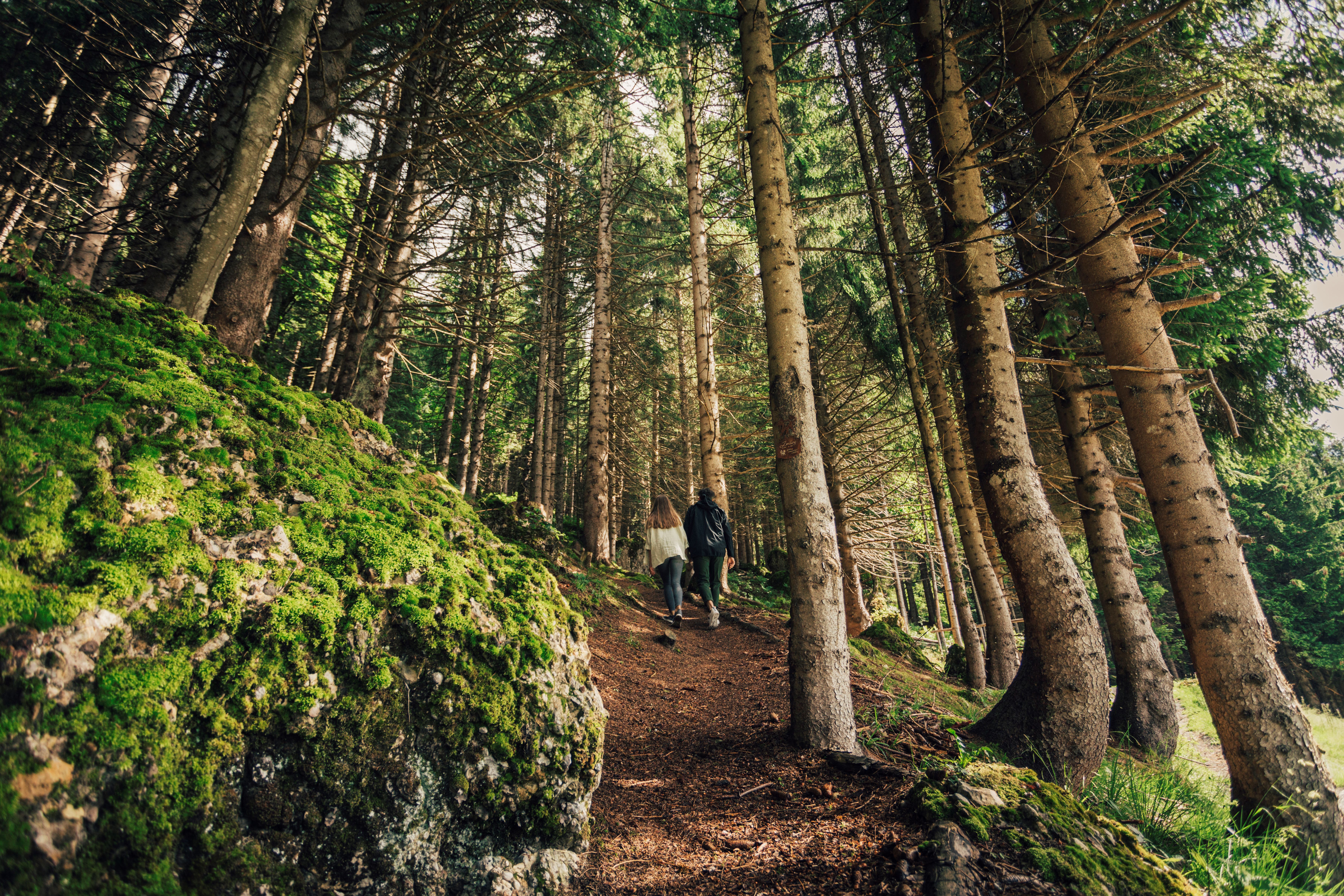 Wellnesshotel: Entspannungswald - Torghele's Wald & Fluh