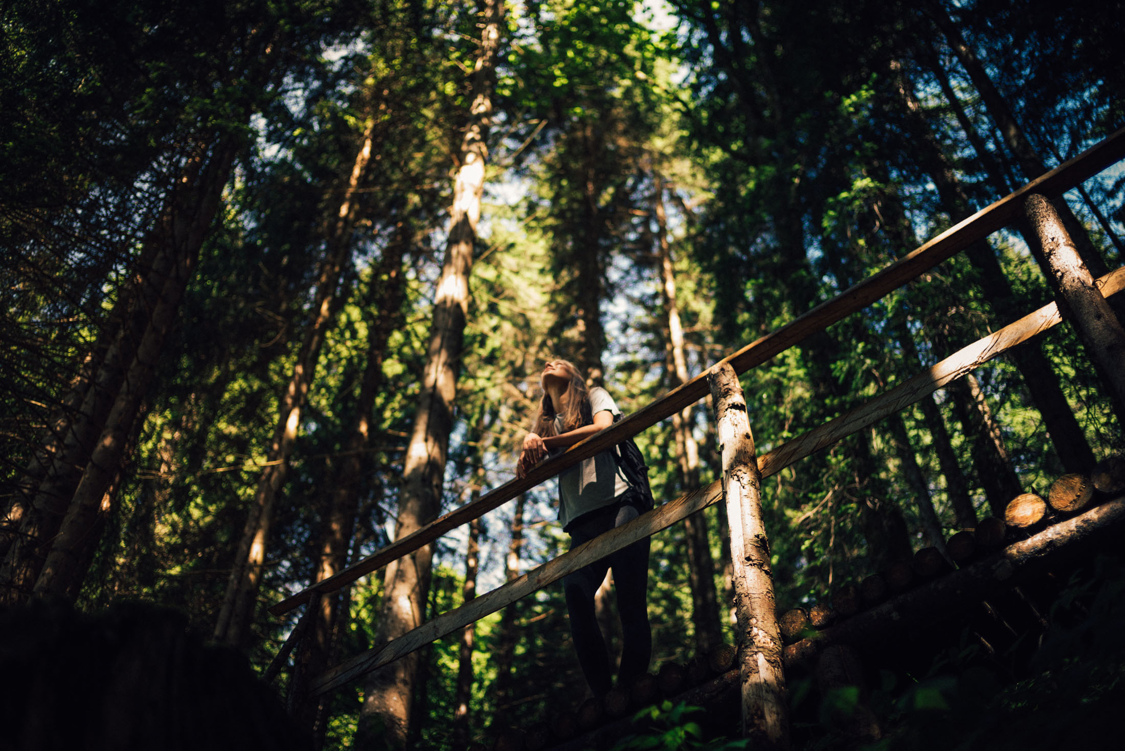 Wellnesshotel: Entspannungswald - Torghele's Wald & Fluh
