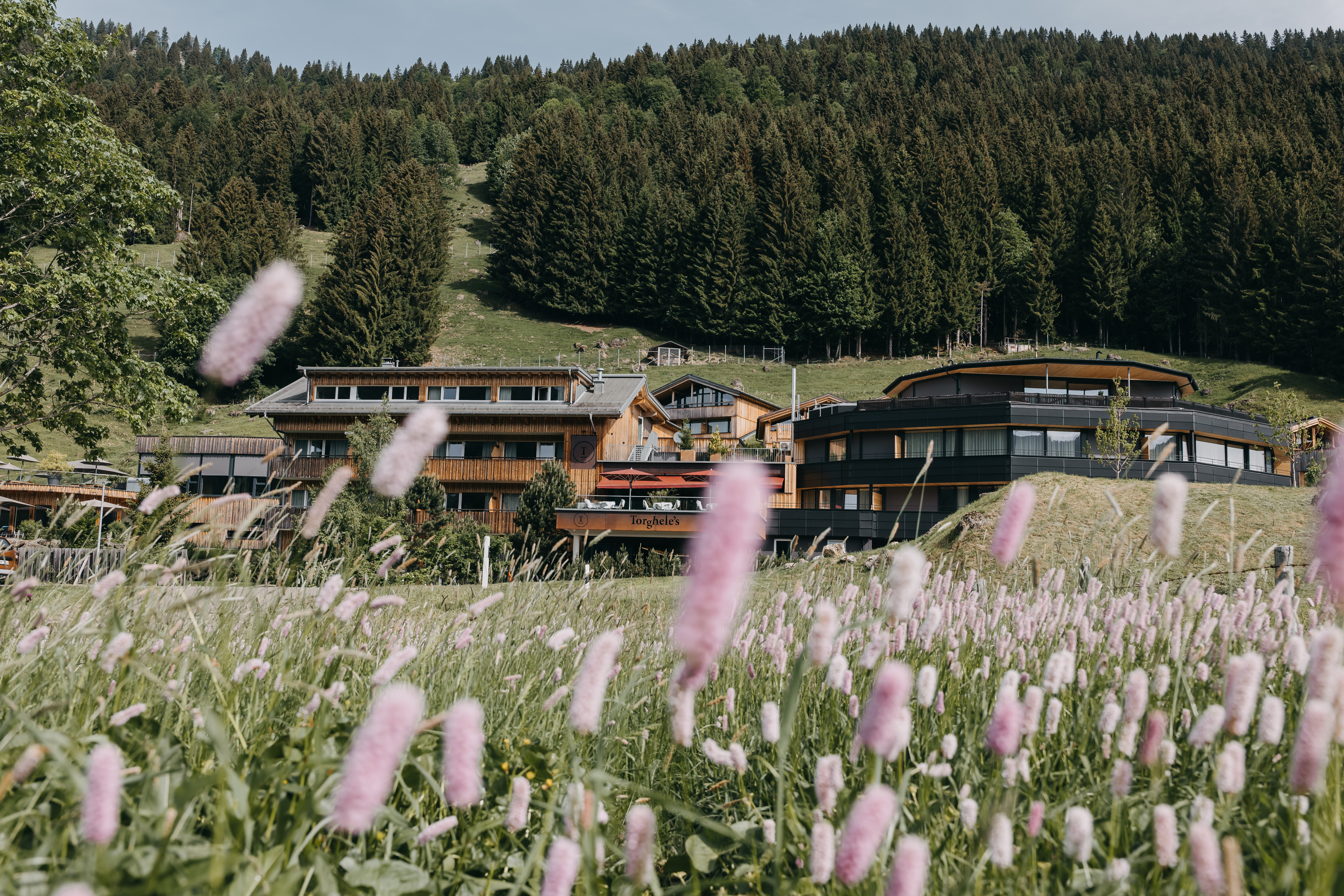 Wellnessurlaub - Day SPA - Deutschland - Torghele's Wald & Fluh