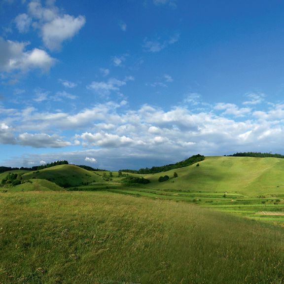 Wellnessurlaub - Baden-Württemberg - Kreuz-Post Hotel-Restaurant-Spa