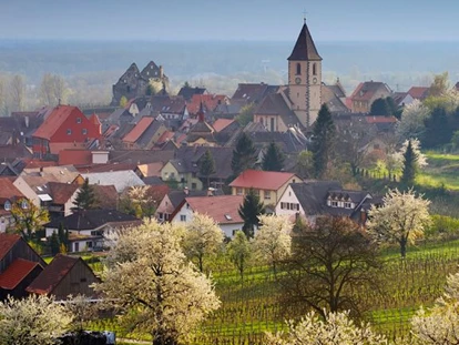 Wellnessurlaub - Seminarraum - Schallstadt - Kreuz-Post Hotel-Restaurant-Spa