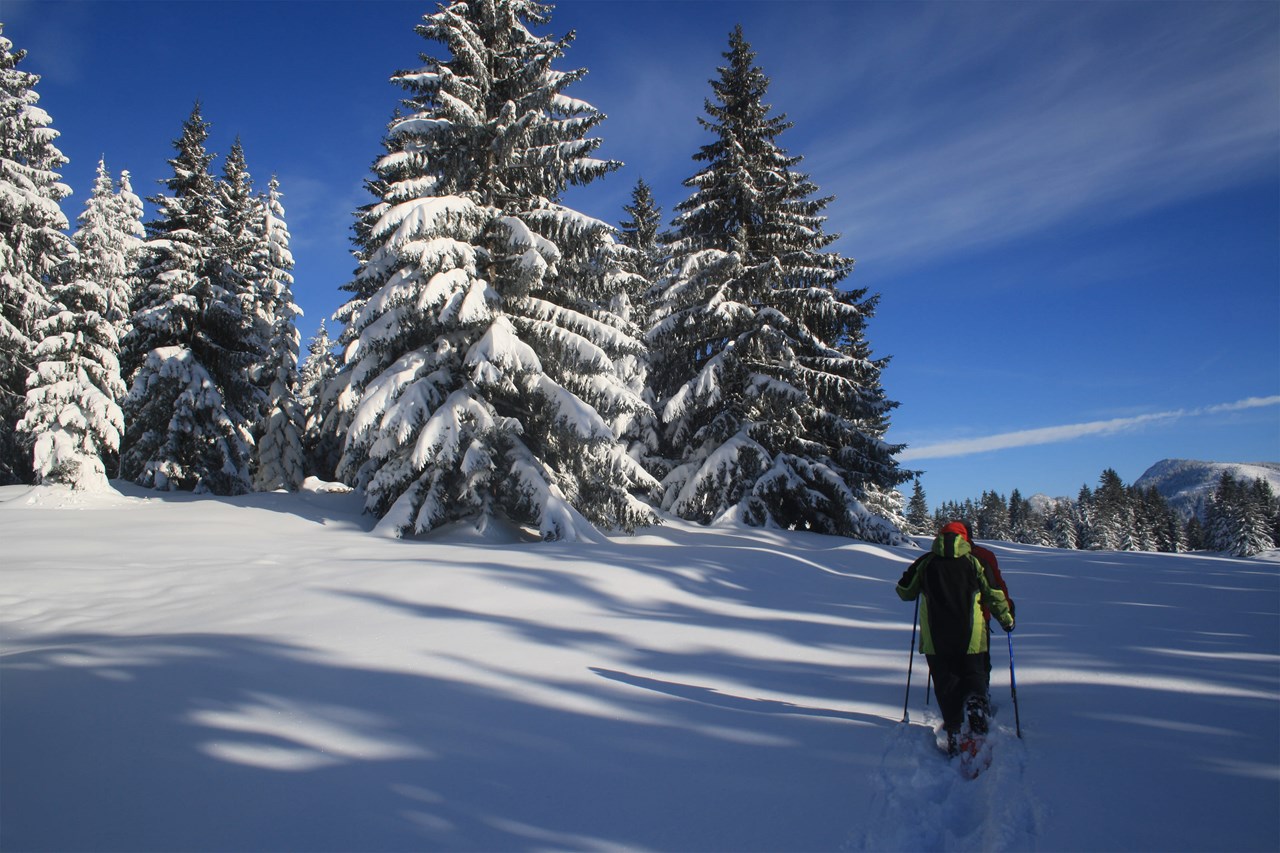 Panoramahotel Oberjoch Ausflugsziele Wanderung im Schnee