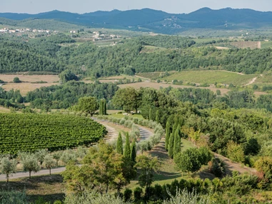 Wellnesshotel: Hotel Le Fontanelle