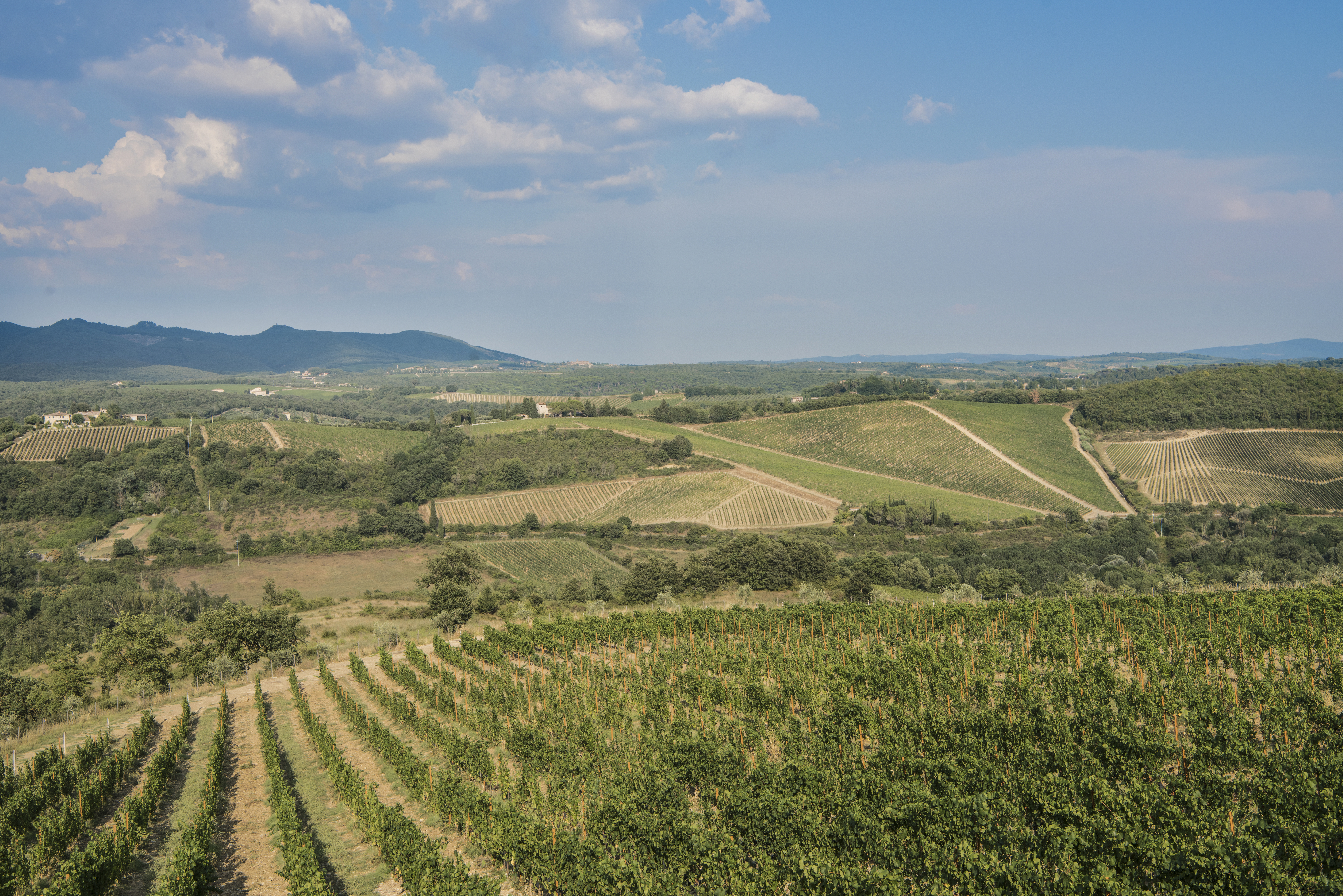 Wellnesshotel: Hotel Le Fontanelle