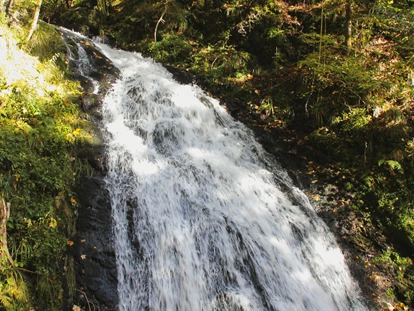 Wellnessurlaub - Seminarraum - Schallstadt - Umgebung - Hotel Rößle