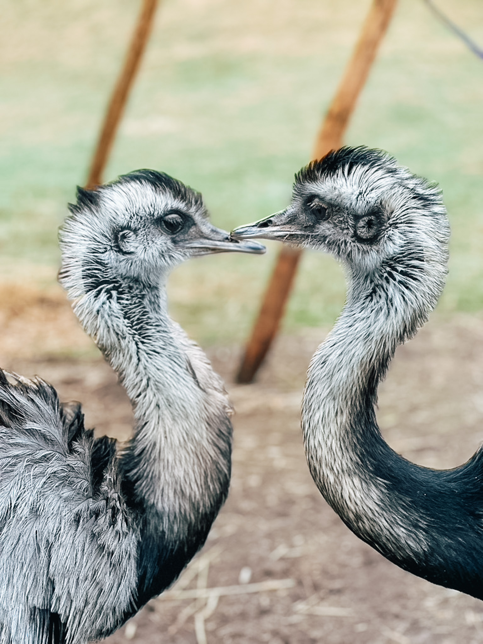 Wellnesshotel: Umgebung - Hotel Rößle - Hotel | Umgebung