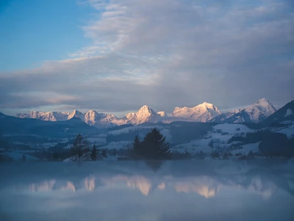 Wellnessurlaub - Hunde: hundefreundlich - Oberösterreich - Dilly - Das Nationalpark Resort