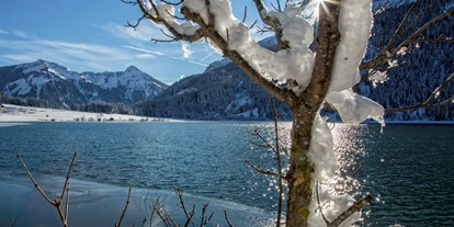Wellnessurlaub - Biosauna - Isny im Allgäu - ****haldensee Naturerlebnis- und Wellnesshotel für Erwachsene