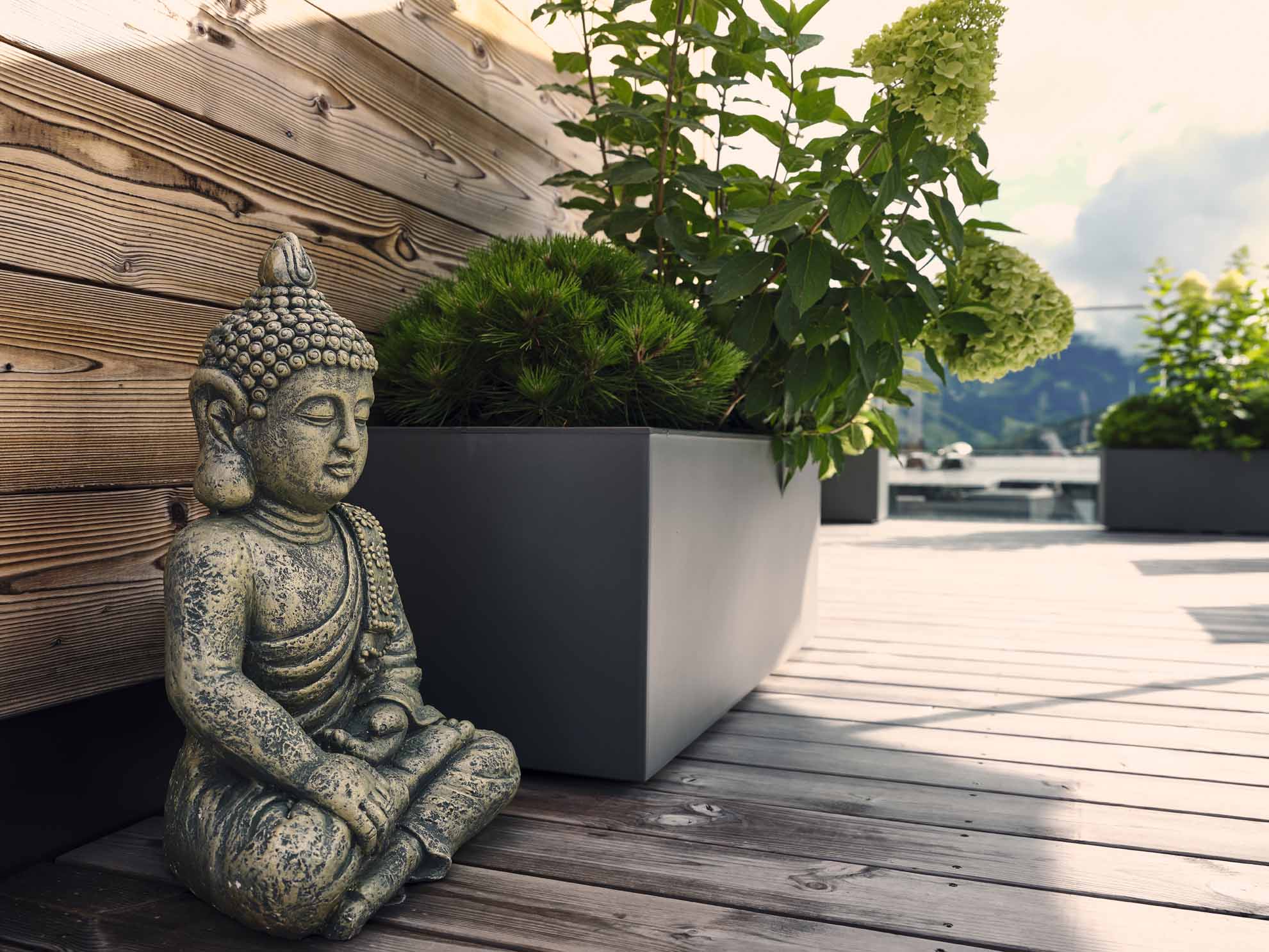 Wellnesshotel: Buddha auf Terrasse - Hotel Hasenauer - Hotel | Umgebung