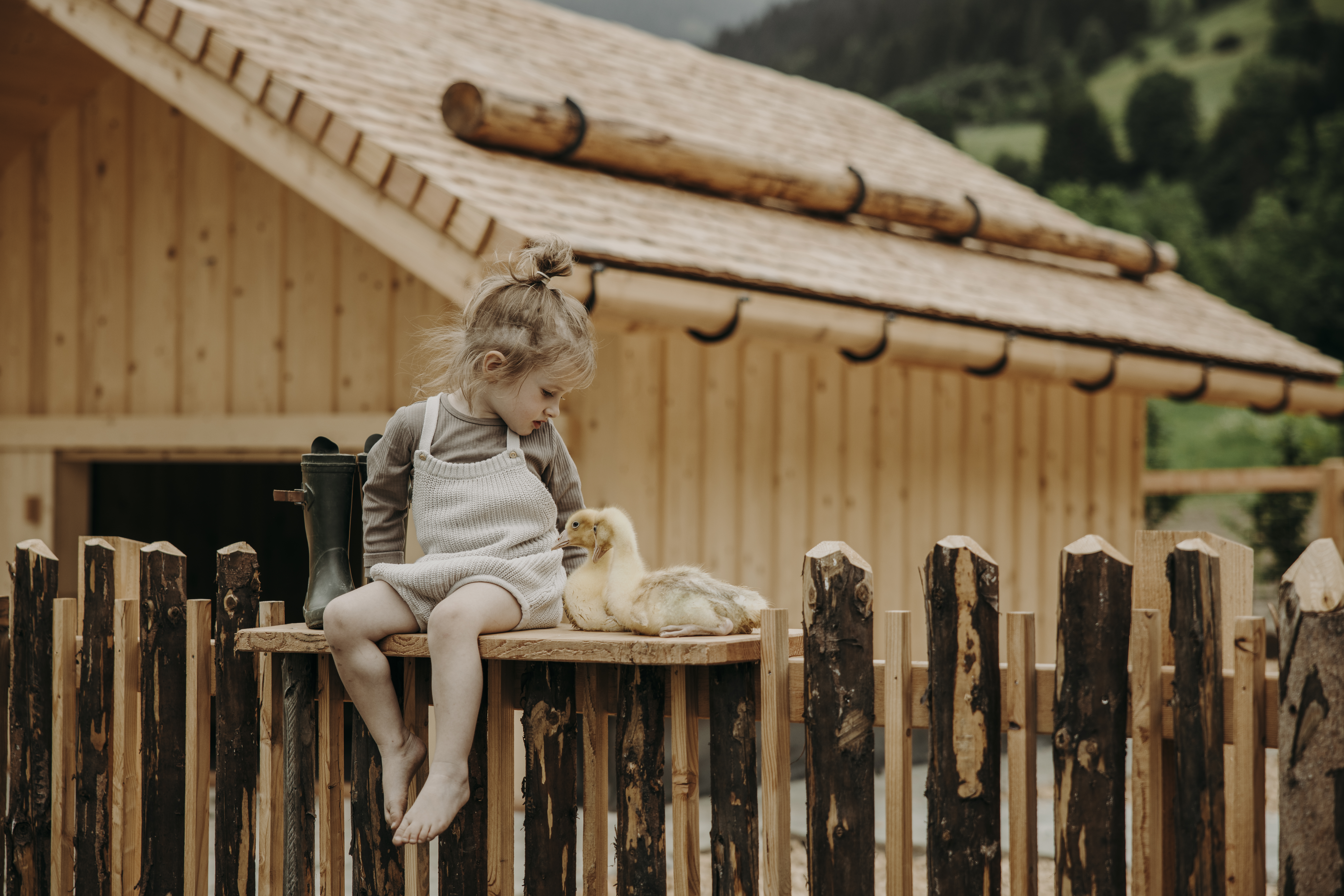 Wellnesshotel: Kleintierbauernhof - Familien Natur Resort Moar Gut*****