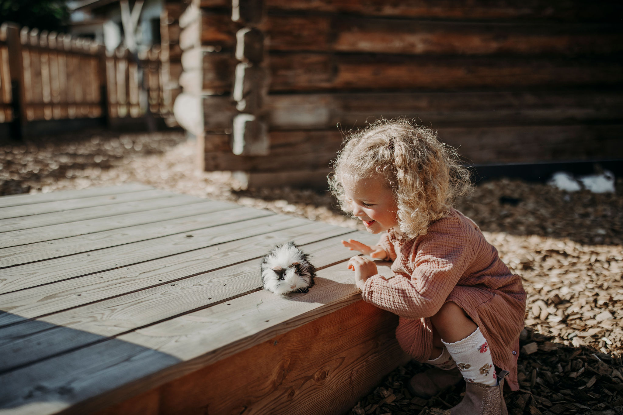 Wellnesshotel: Kleintierbauernhof - Familien Natur Resort Moar Gut*****