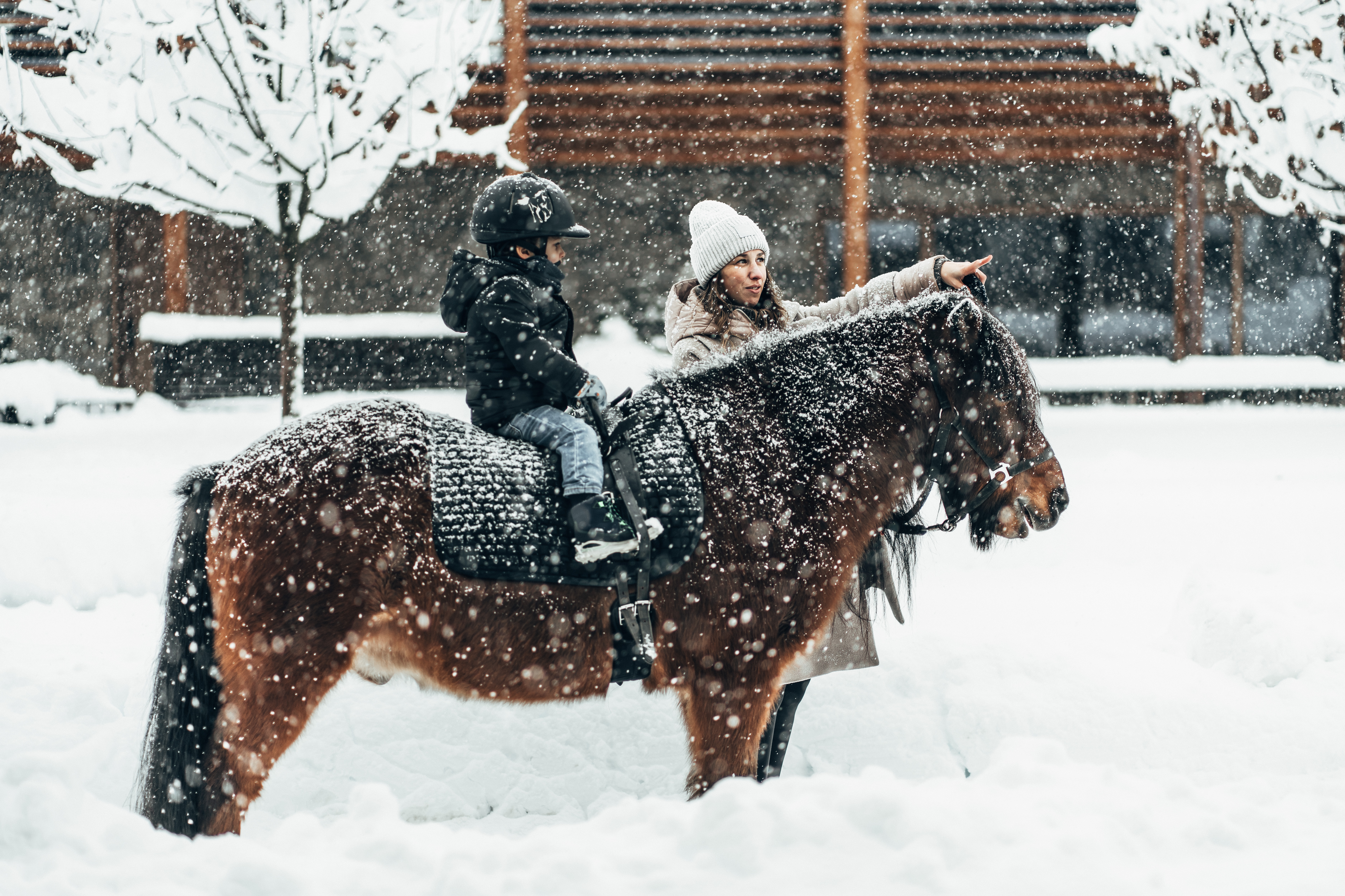 Wellnesshotel: Islandpferde Reitstall - Familien Natur Resort Moar Gut*****